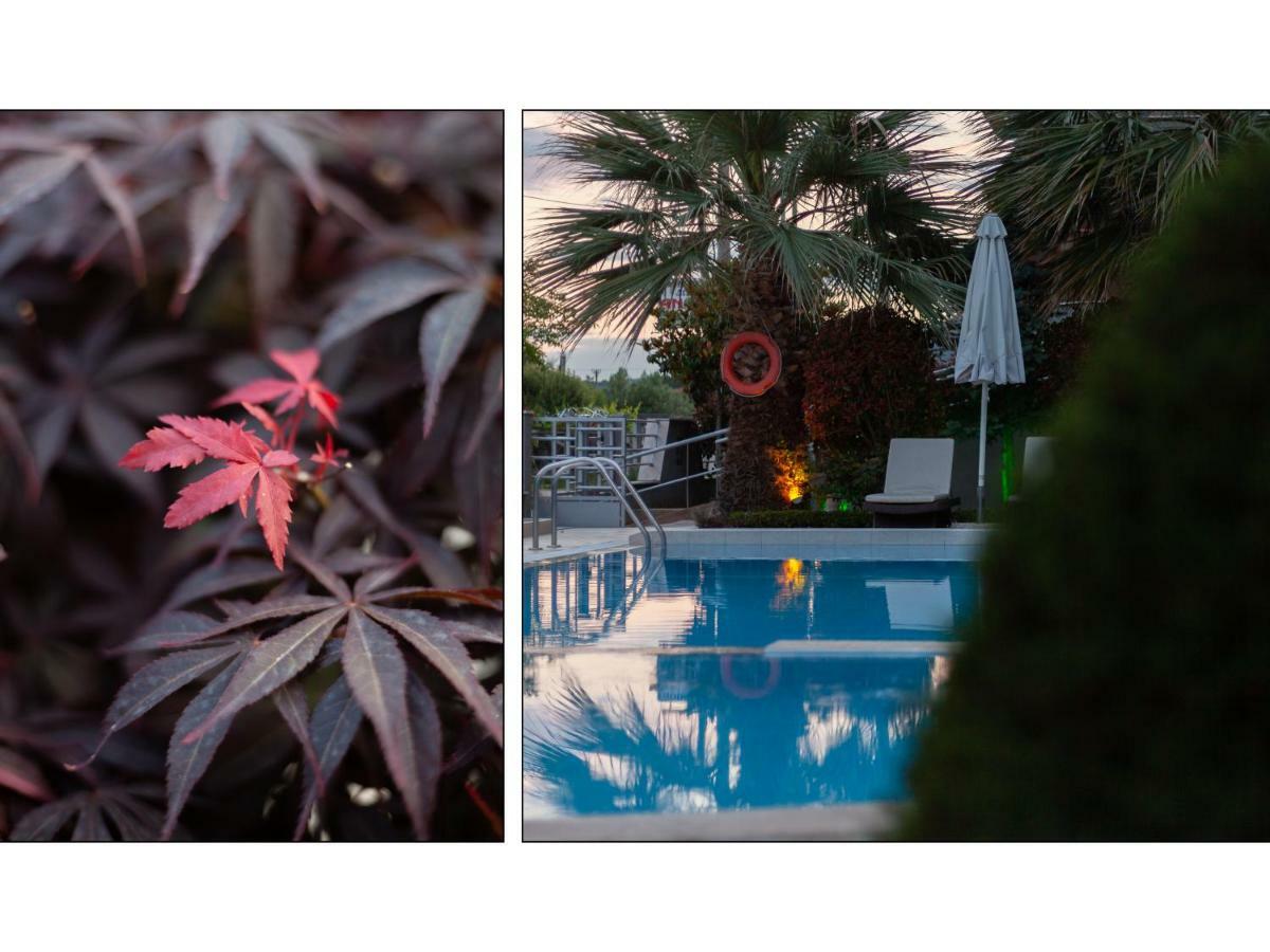Anthodi Hotel Ставрос Екстериор снимка